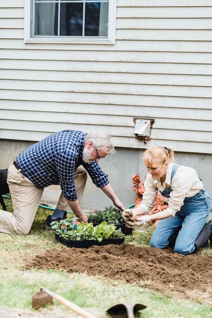 couple kneeling down, gardening. 