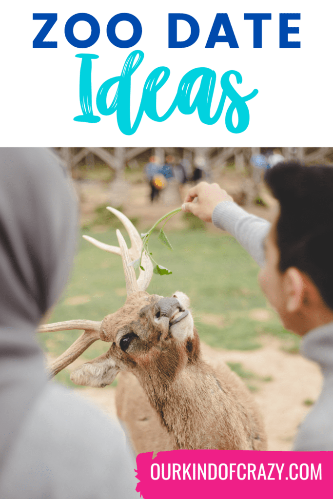 image reads "zoo date ideas" and shows couple feeding an animal at the zoo.