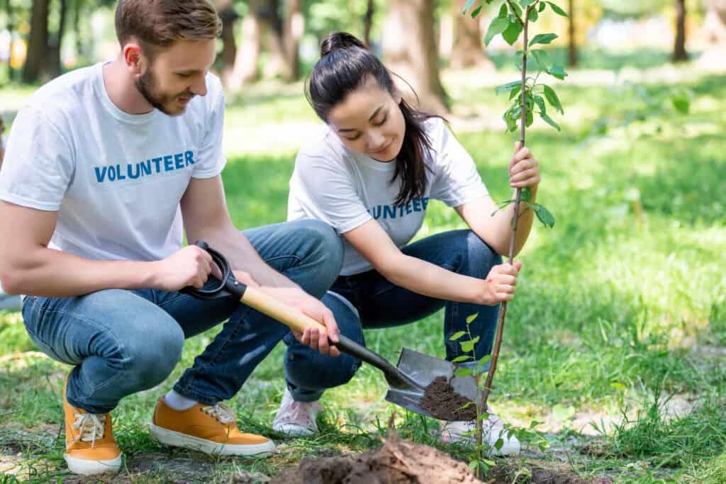 image shows a couple wearing volunteer shirts planting a tree in the park. 